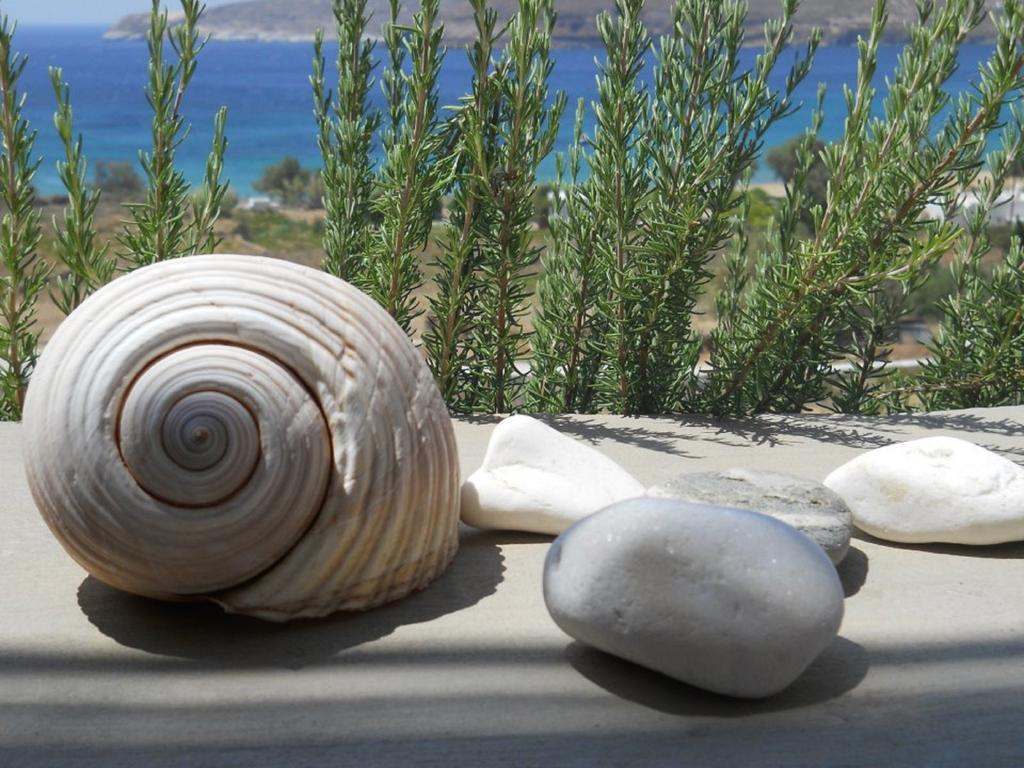 Serifos Dream Houses Near The Sea Ganema Quarto foto